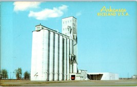 Riceland USA where huge crops of rice are grown Arkansas Postcard - £18.03 GBP