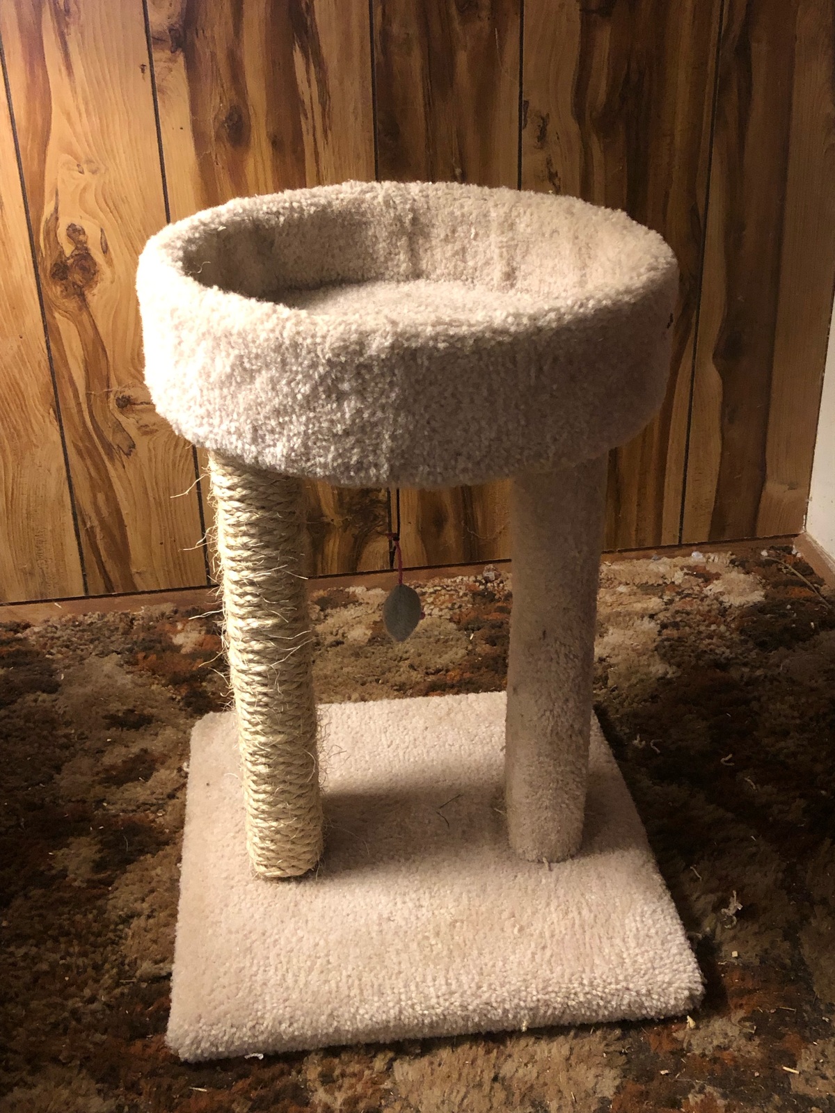 The  SNOOZER  cat furniture - $59.95