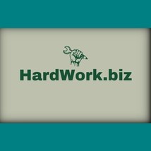 HardWork .biz / Domain For Sale / Business, Website Name / Namecheap - $9.45