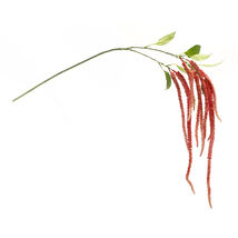 Amaranthus Floral Stem (Set of 4) - 563333 - €43,05 EUR