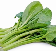 Early Green Yu Choy Sum Seeds Gardening Fresh USA Seller - $10.78