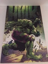 2021 Marvel Comics Hulk Stephen Segovia Virgin Variant #2 - $28.00