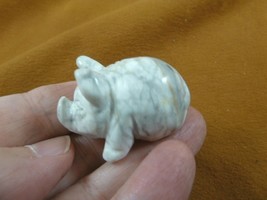 Y-PIG-PO-565 white Roly Poly PIG Piggy pot belly gemstone FIGURINE carving gem - £11.19 GBP