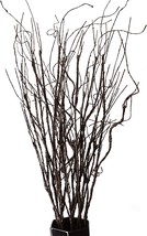 Feilix 10 Pcs. Lifelike Curly Willow Branches, 30 7 Inch Fake Bendable Sticks - £26.58 GBP
