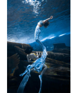 NEW!Mermaid Tail Skin Only,No Monofin Beatiful Mermaid Swimsuit - £70.52 GBP
