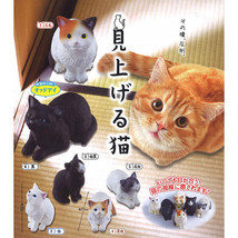 Miageru Neko Cats Looking Up at You Mini Figure Calico Tuxedo Tabby Whit... - $9.99