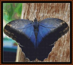 Little Wings - Cream Owl Butterfly ~~ counted cross stitch pattern PDF - £15.59 GBP