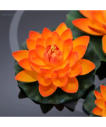 Bowl Lotus Egyptian Flower Orange Farm Seed Aquatic Plants Water Garden ... - $24.60 CAD