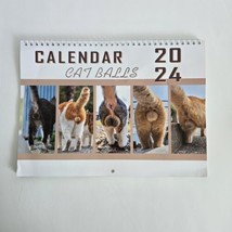 2024 Cat Balls Calendar Funny Butthole Calendar 12 Month Office Gag Gift Prop - £2.36 GBP