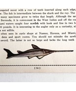 Sawfish 1939 Salt Water Fish Gordon Ertz Color Plate Print Antique PCBG19 - $570.01 MXN