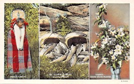 NATIVES OF IDAHO~INDIAN PAPOOSE-MOUNTAIN TROUT-SYRINGA STATE FLOWER POST... - $7.49