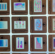 1989 Wood&#39;s Hole Oceanographic 69 Pcs 35mm Slides Teacher Mass Nautical ... - €37,19 EUR