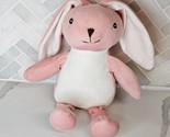 Publix Supermarket Pink Bunny Rabbit Plush Stuffed  10.5&#39;&#39; Easter - $19.75
