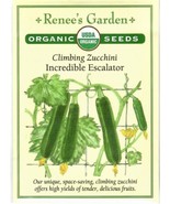 THJAR Zucchini Incredible Escalator Organic Vegetable Seeds - Renee&#39;S Ga... - $10.69
