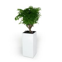 Catleza 13&quot; Self-Watering Square Planter Box - High - White - £56.33 GBP