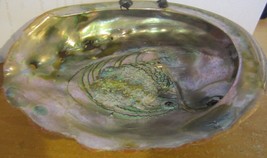 Large Abalone Seashell Rainbow Green Sea Shell décor - $20.85