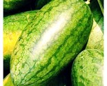10 Congo Watermelon Seeds Non Gmo Heirloom Resistant To Anthracnose Fast... - £7.22 GBP