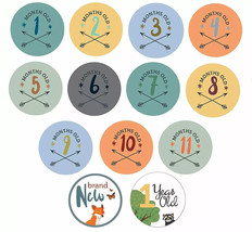 Baby Month &amp; Milestone Stickers - 24 Pack - Baby Boy  Belly Stickers - $10.88