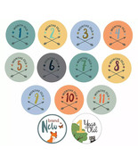 Baby Month &amp; Milestone Stickers - 24 Pack - Baby Boy  Belly Stickers - £8.60 GBP