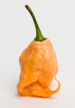 BPA 10 Seeds Peach Carolina Reaper Pepper World&#39;S Hottest Capsicum Chinense Chil - £7.91 GBP