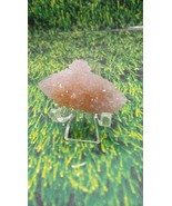 Cactus Quartz ~ South Africa ~ Acrylic Display Included ~ - $690.81 MXN