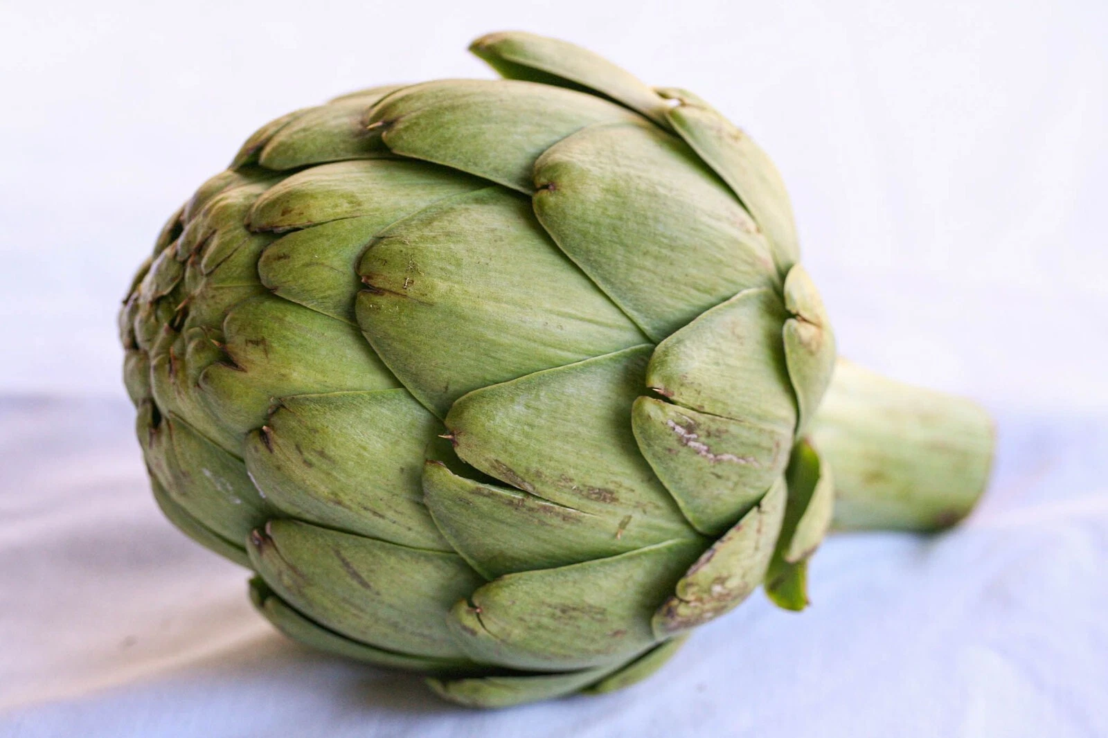ARTICHOKE 5 VEGETABLE SEEDS  - $6.31