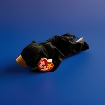 Ty Beanie Baby Blackie The Bear Plush Toy Collectable With Tags - $12.99