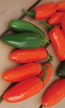 PS Heirloom Green To Red Jalapeño Pepper Garden 20 Seeds Spicy  Fast Grow - $166.68 MXN