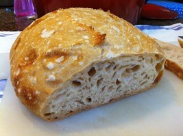 Sourdough Starter Bread Yeast Our Favorite Foothills Larry Very Sour And Old - $8.74