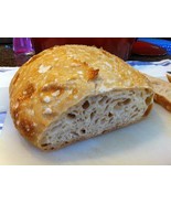 sourdough starter BREAD YEAST OUR FAVORITE FOOTHILLS Larry very sour and... - £7.04 GBP
