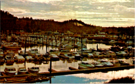 Postcard Washington Ilwaco Fishing Port Columbia River Chinook 5.5 x 3.5 Ins. - £3.95 GBP