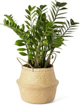 Small, Natural-Beige Artera Woven Seagrass Plant Basket - Wicker, Snake ... - £30.04 GBP