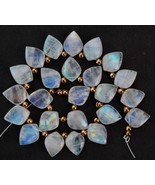 Natural 20 piece smooth pointed leaf Rainbow Moonstone gemstone briolett... - £82.58 GBP