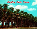 Hadley Date Grove Coachella California CA UNP Chrome Postcard B3 - $2.67