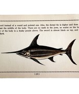 Swordfish 1939 Salt Water Fish Gordon Ertz Color Plate Print Antique PCBG19 - $570.01 MXN