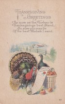 Thanksgiving Greetings Turkey Reading Proclamation Postcard D53 - £2.38 GBP