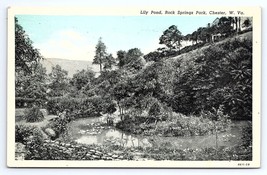 Postcard Lily Pond Rock Springs Park Chester West Virginia - £5.68 GBP