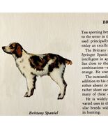 Brittany Spaniel 1939 Dog Breed Art Ole Larsen Color Plate Print Antique... - $42.03 CAD
