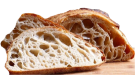 sourdough starter &#39;the beast&#39; one of a kind very active very sour YEAST NEW - $143.59 MXN