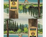 Double Smokey Bear Postcard Only You Can Prevent Forest Fires  - £14.24 GBP