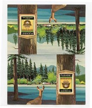Double Smokey Bear Postcard Only You Can Prevent Forest Fires  - £14.21 GBP