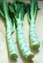 100 Seeds Chinese Lettuce Stem Asparagus - £7.53 GBP