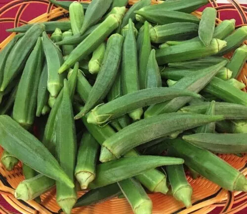 100+ Emerald Okra Seeds - HEIRLOOM - NON GMO -- FRESH - $9.13