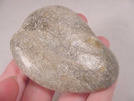 (F832-D) shiny polished Petoskey stone fossil coral specimen Michigan st... - $21.49