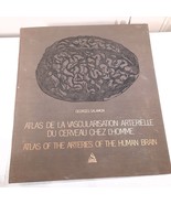 Atlas of the Arteries of the Human Brain Georges Salamon ring binder ONLY - £74.86 GBP