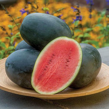 VP Little Darling Watermelon for Garden Planting USA 50+ Seeds - $8.22