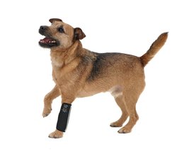 Pet Life ® Extreme-Neoprene Reflective and Joint Protective Dog Sleeves - Pet Jo - £18.87 GBP