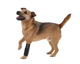 Pet Life ® Extreme-Neoprene Reflective and Joint Protective Dog Sleeves - Pet Jo - £18.52 GBP