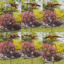 6 Assorted Flying Bird Iron Rusty Rocking Stakes (Toucan) - £50.86 GBP+