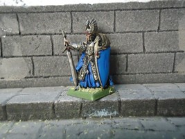 high elf hero with sword and shield metal warhammer fantasy - $36.81